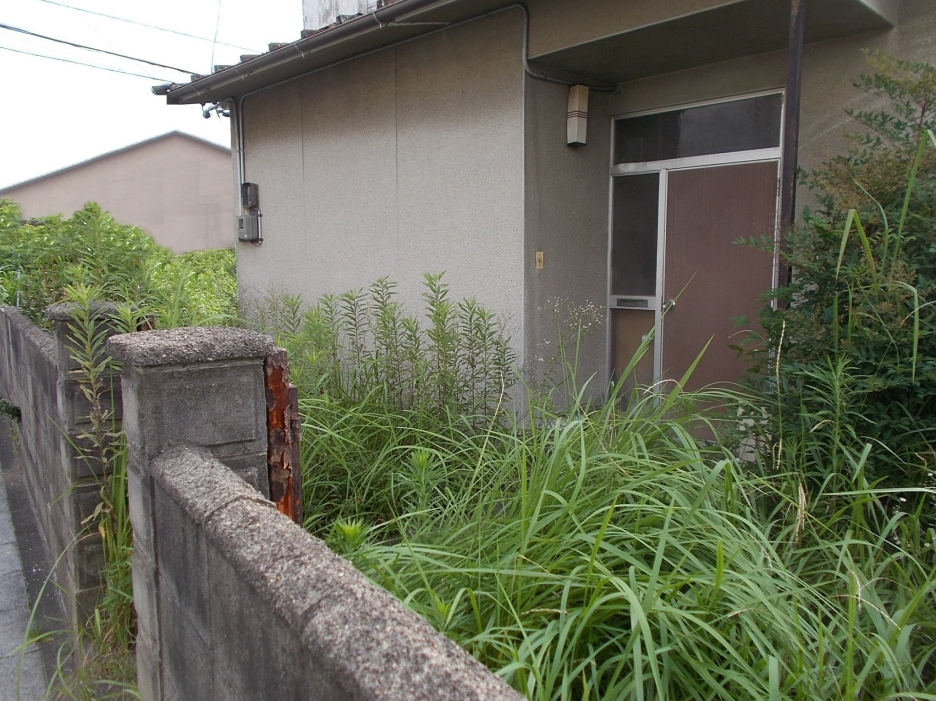 植物の手入れ(草刈り/防草シート/樹木の剪定/樹木の抜根/病害虫対策)