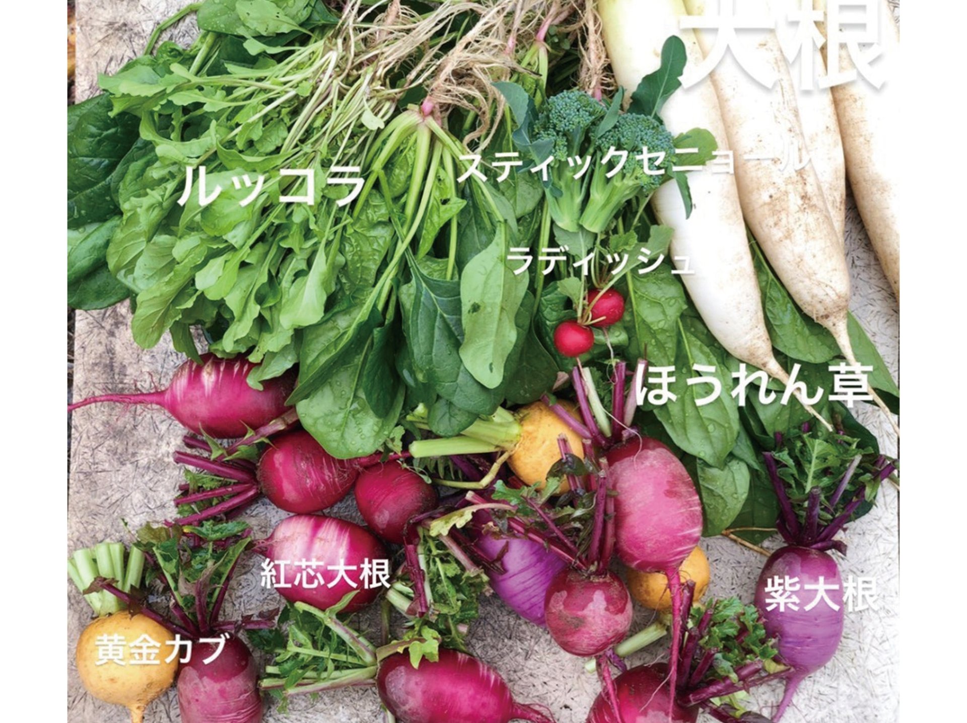 《新鮮×おいしい》自家栽培野菜をふんだんに使用♪