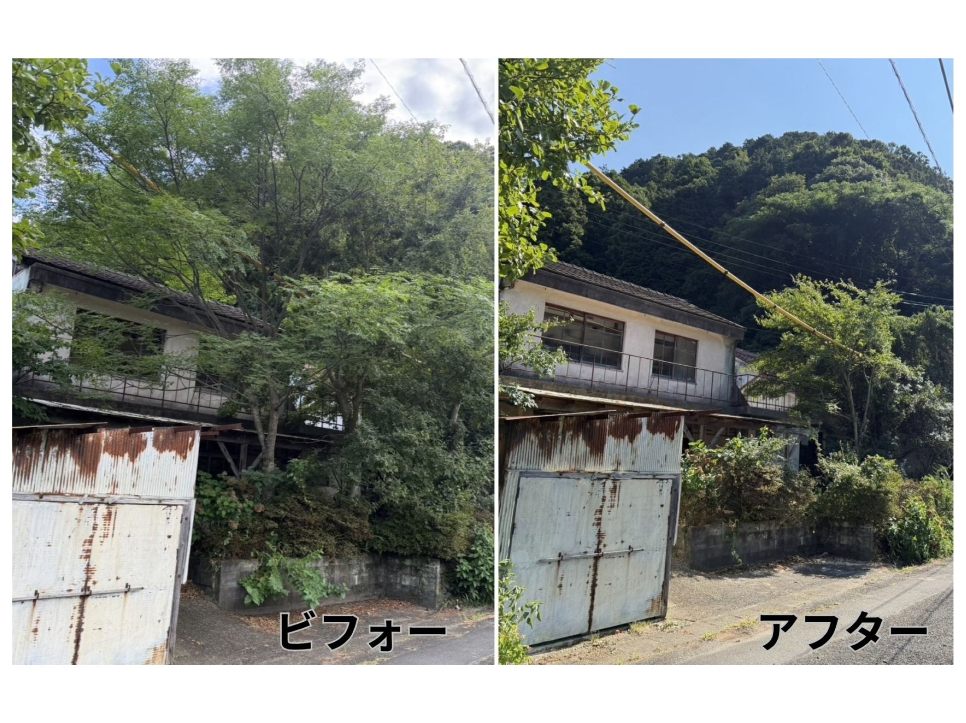 ビフォー⇒アフター