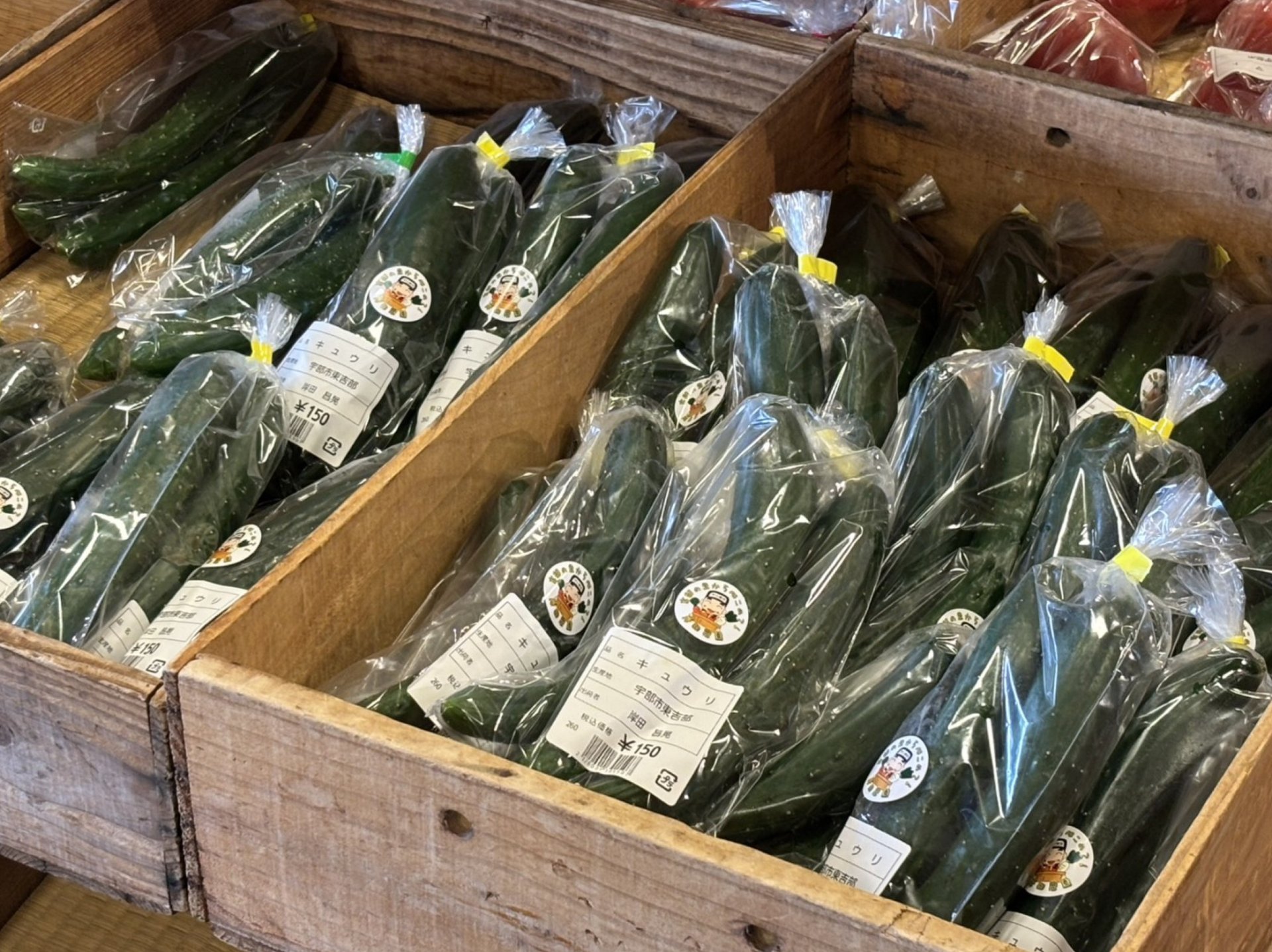 楠四季菜市は夏野菜が大集合！