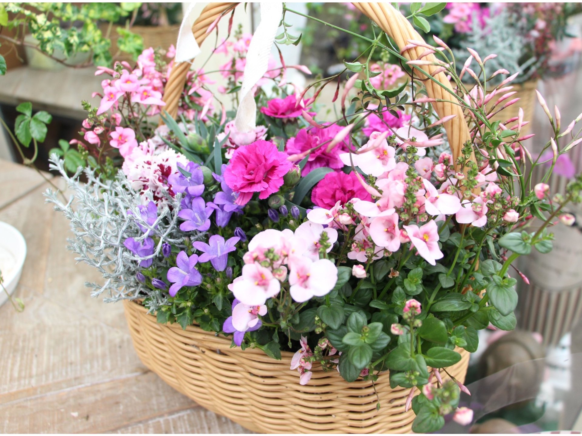 ☆寄せ植え…980円～受付中