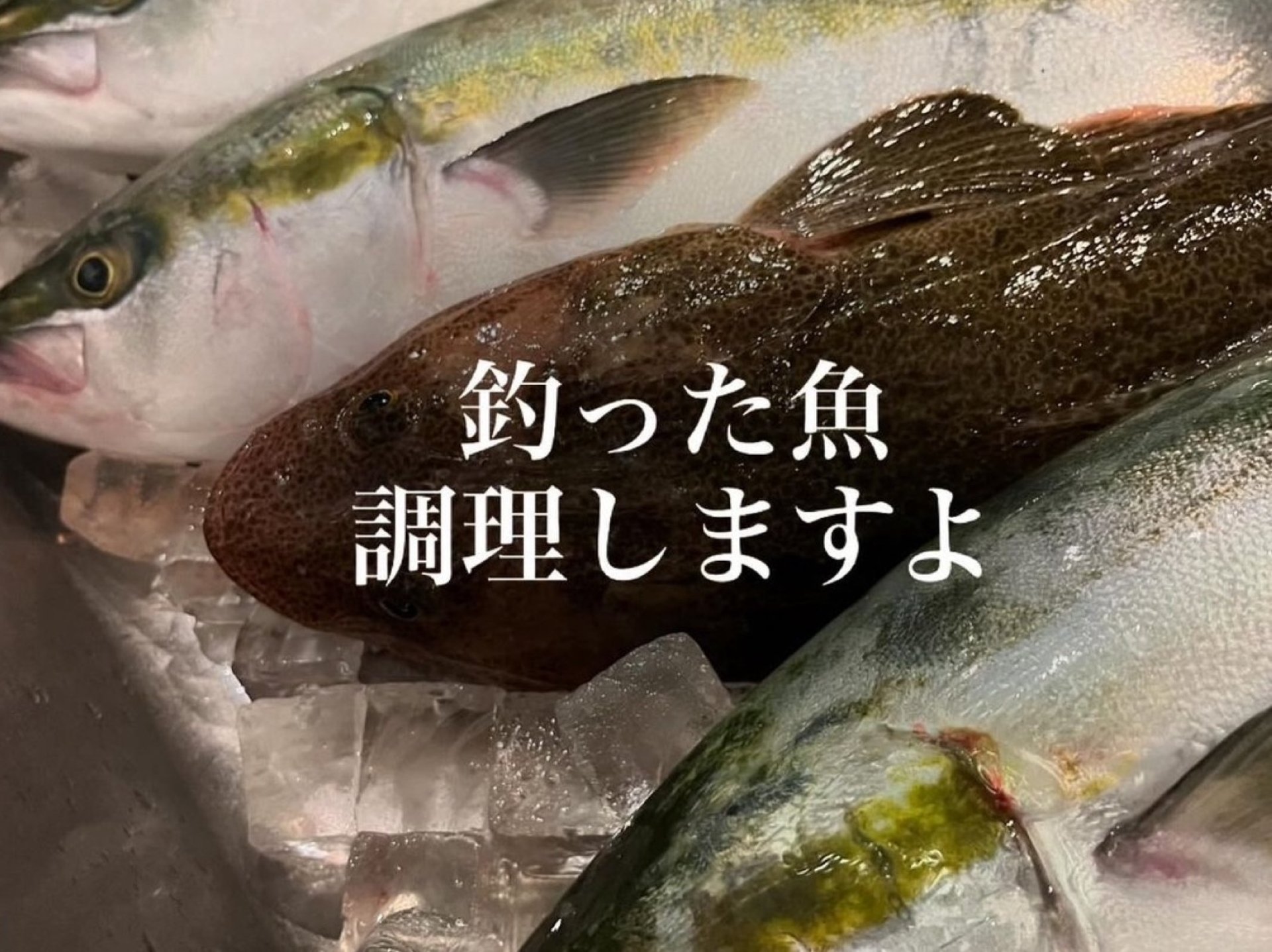 【持ち込みOK】釣った魚・採れた野菜、調理しますよ