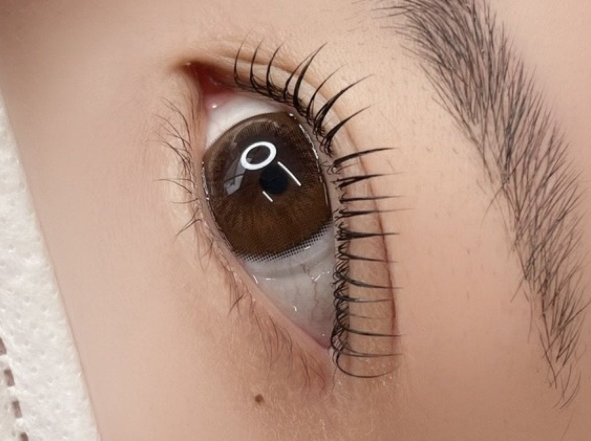 Lash lift（カール）
