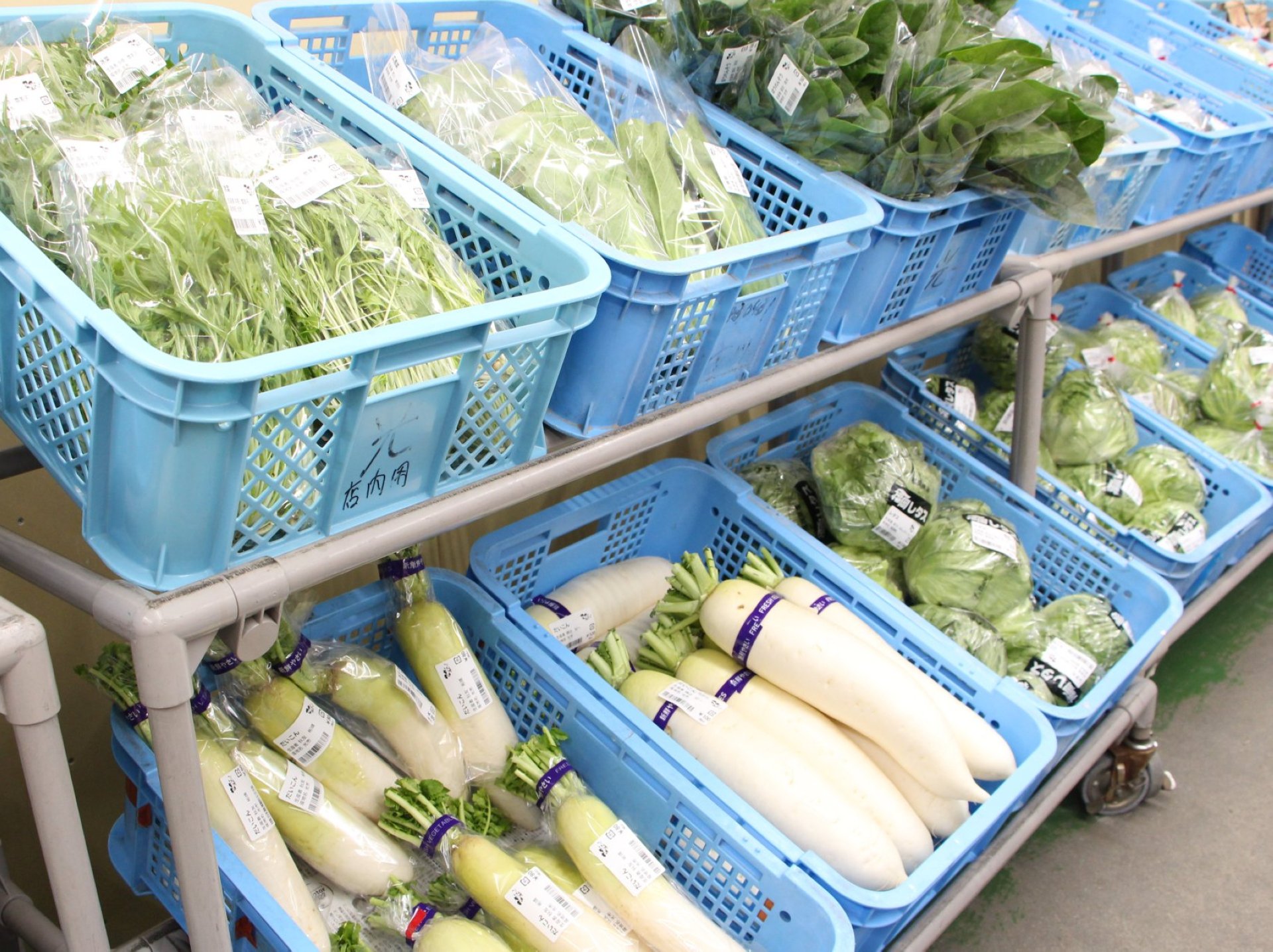 お鍋に欠かせない新鮮野菜全て揃います！