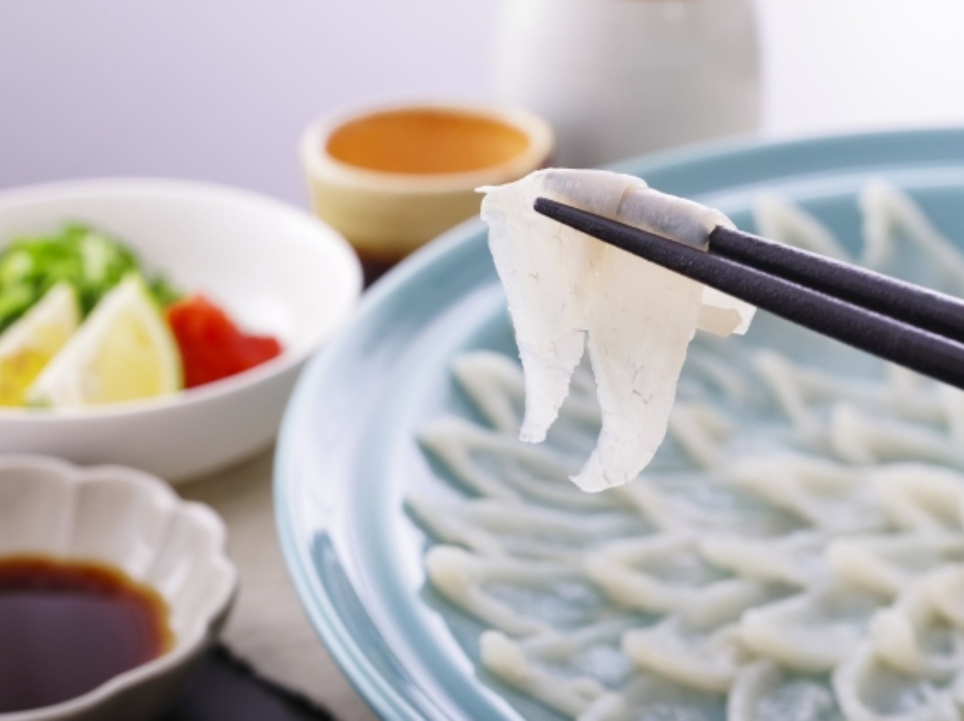 刺身・ふぐしゃぶ付きの豪華内容