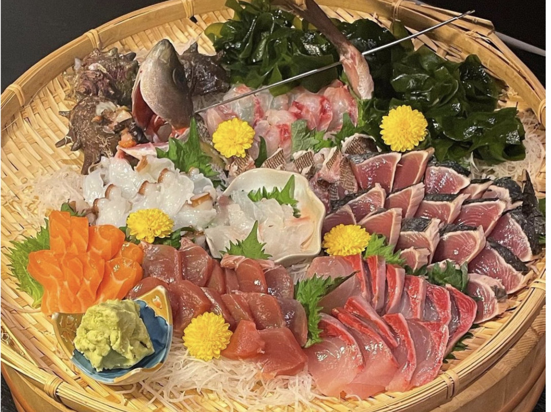 防府近郊で水揚げされた鮮魚を刺身で！
