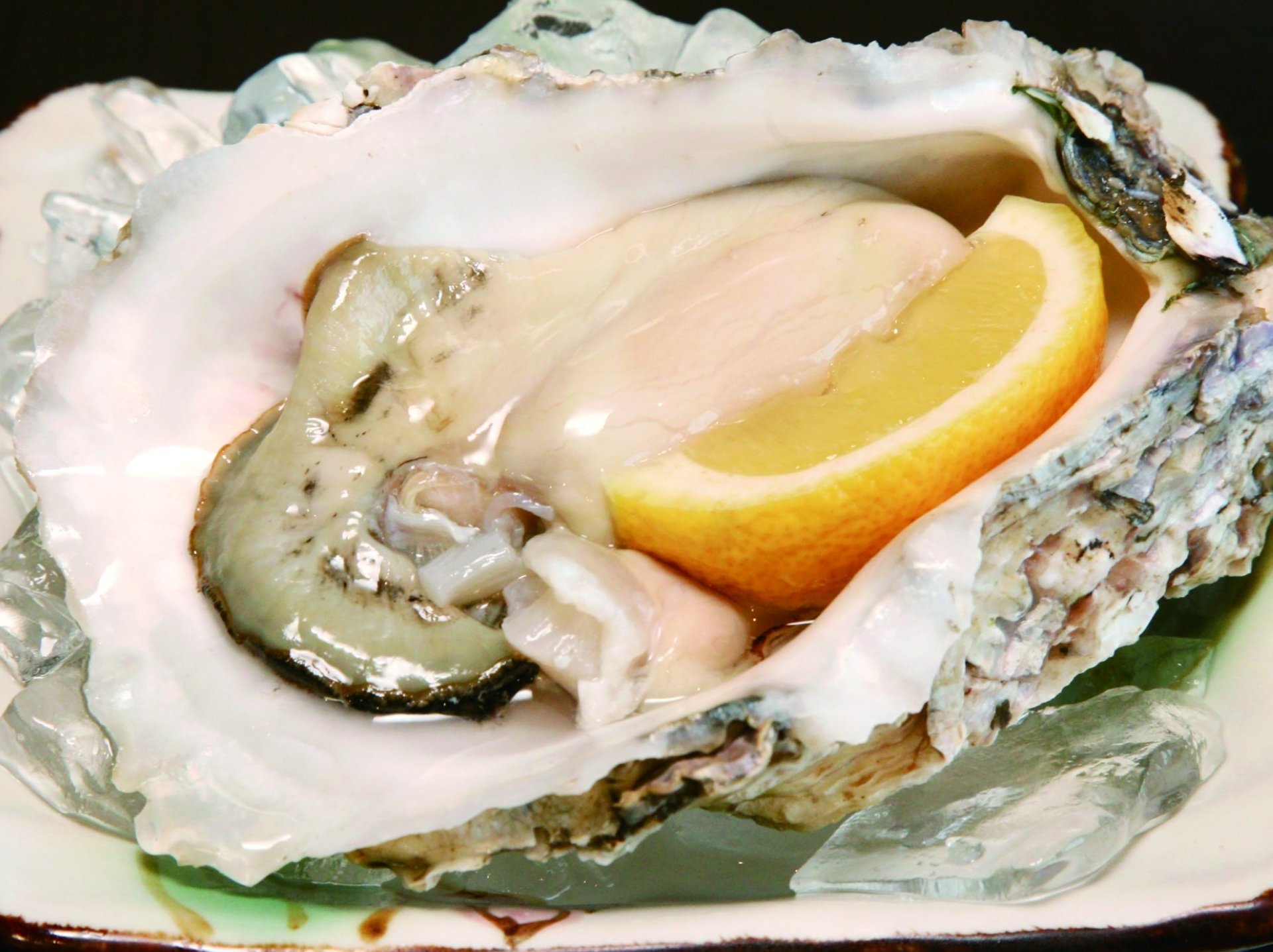 生食♡大ぶりな身を豪快にとぅるん♪